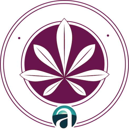 Arcview - Women’s Inclusion Network - The Arcview Group